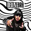 Mc PP da VS - Deu Zebra - Single